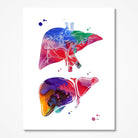 Liver Print Abstract Anatomy Print Medicine Clinic Wall Decor