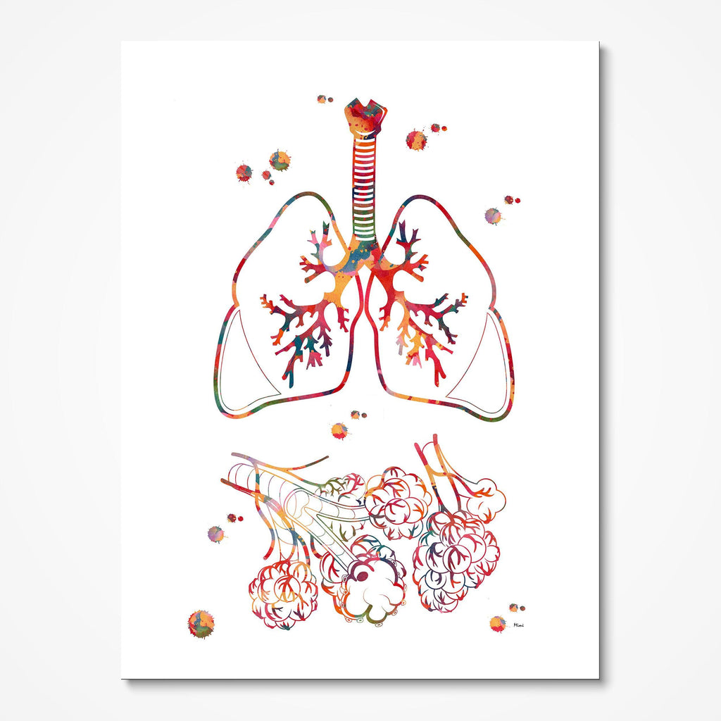 Lungs And Alveoli Abstract Anatomy Print Medical Illustration Medicine Clinic Wall Decor