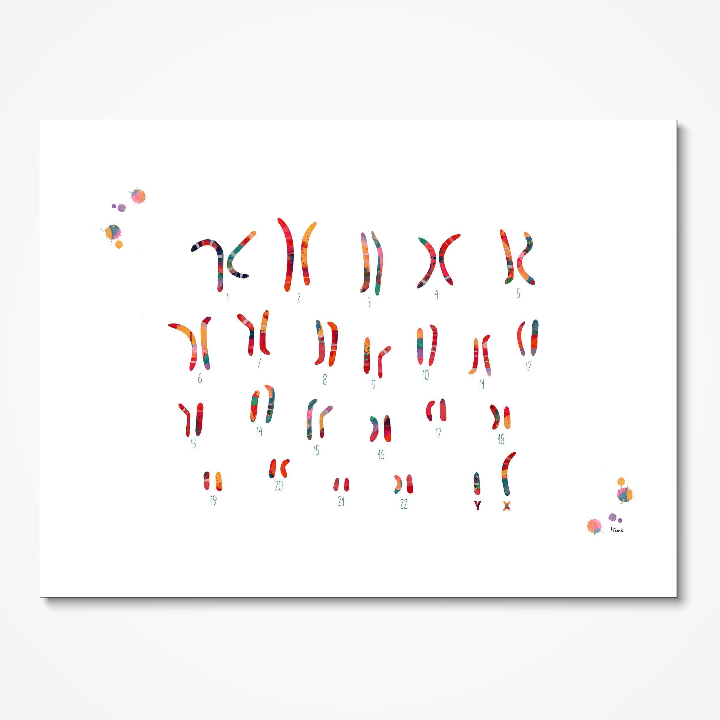 Male Chromosome Idiogram Science Print Male Karyotype Poster Genetics Art Wall Decor