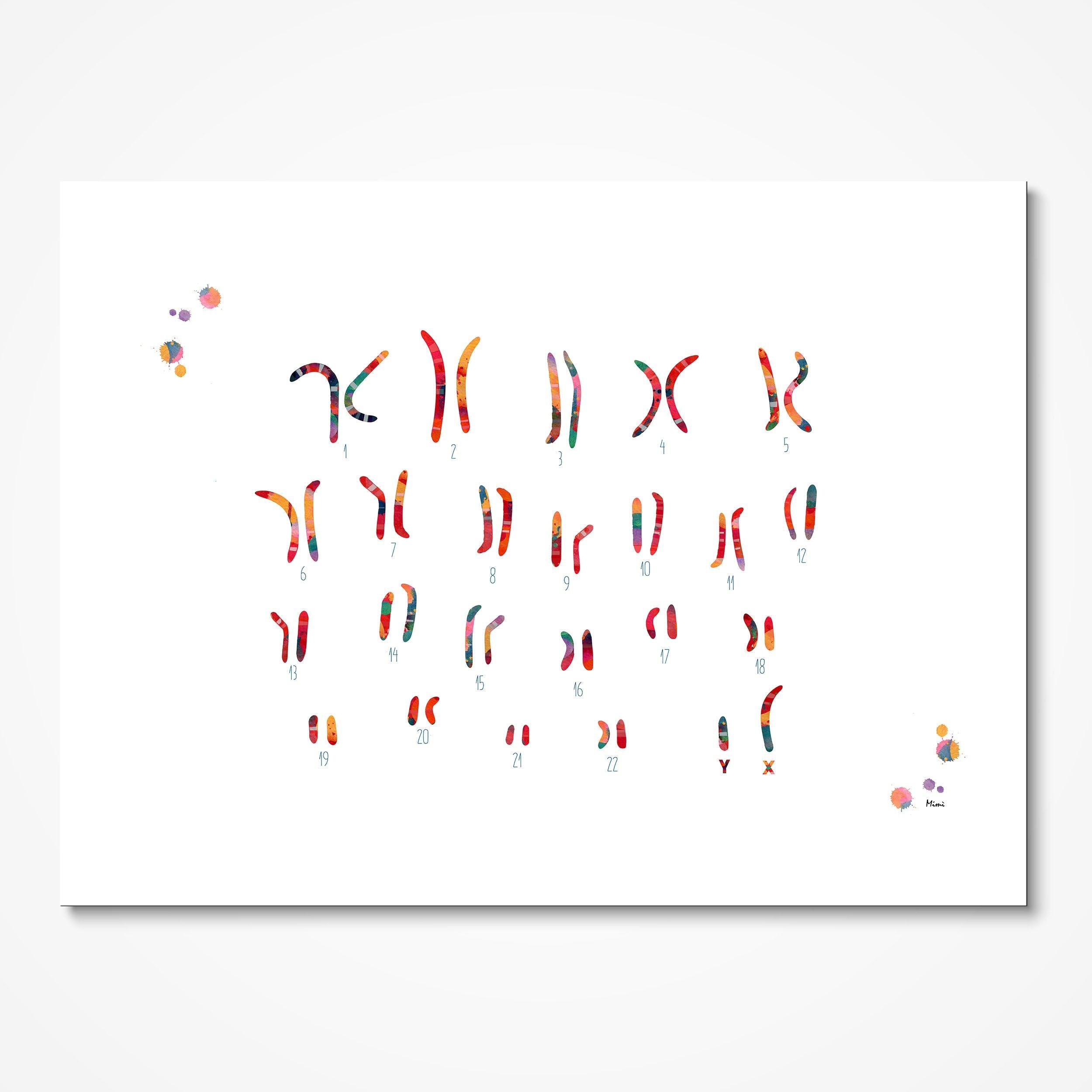 Male Chromosome Idiogram watercolor art print for science lab wall decor