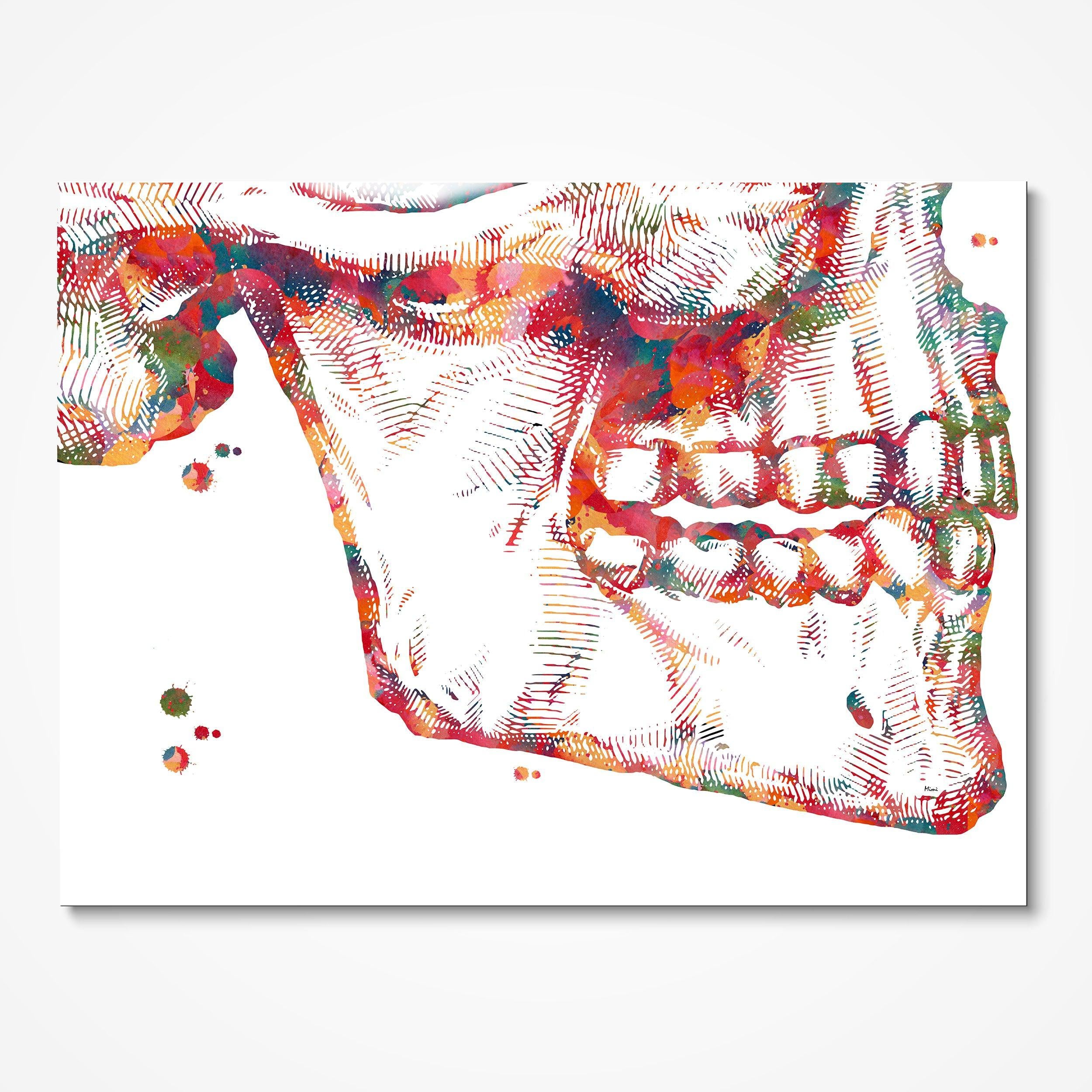 Mandible and Maxilla Anatomy Art Print Dental Art Medical Illustration Dentist Clinic Wall Decor