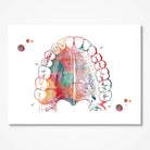 Mouth Watercolor Print Hard Palate and Teeth Dental Art Illustration Dentist Clinic Wall Decor