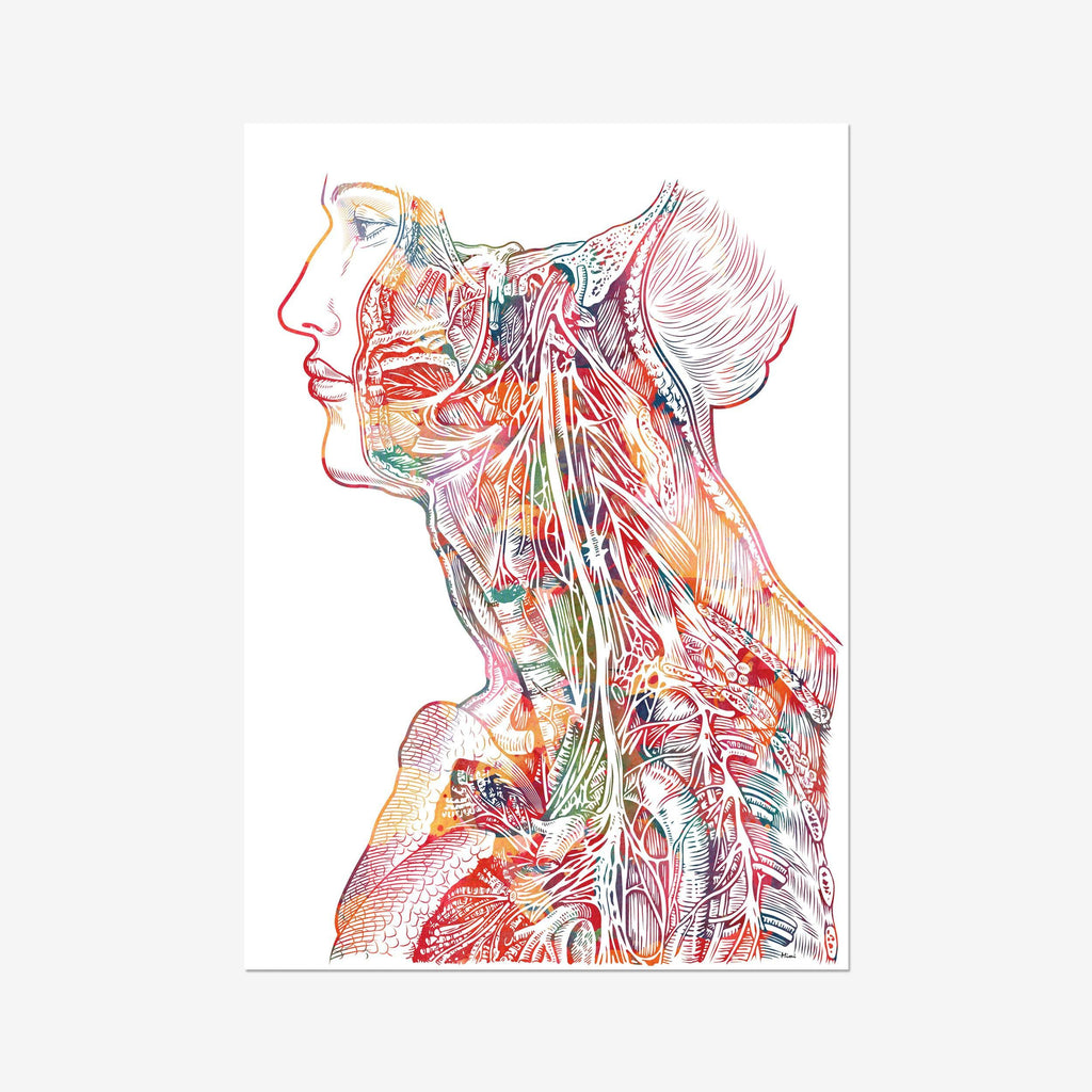 Neck And Chest Watercolor Print Human Anatomy Medical Illustration Medicine Clinic Wall Decor