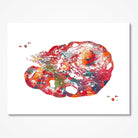 Ovary Anatomy Art Watercolor Print Ob-Gyn Poster Fertility Clinic Wall Decor