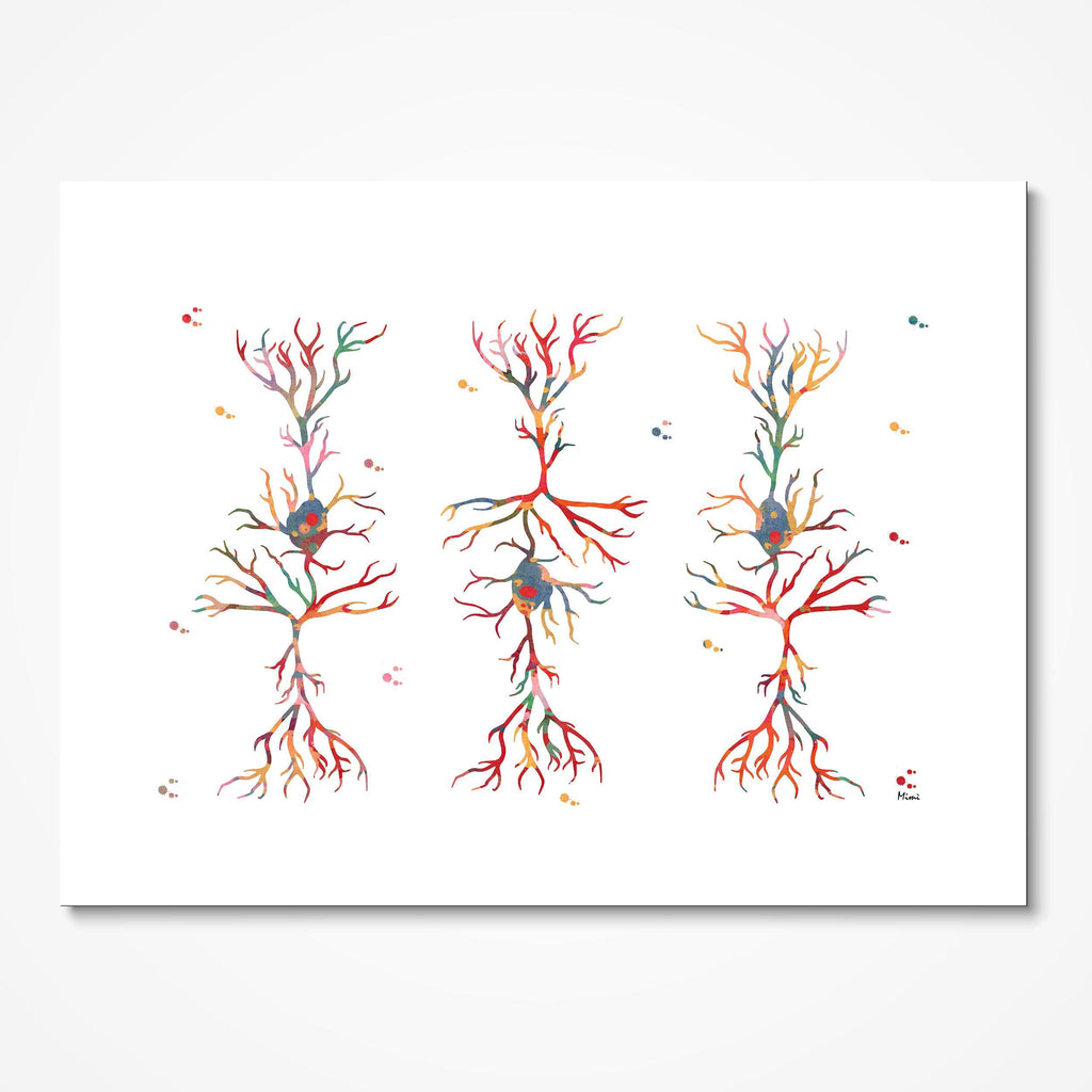 Pyramidal Neurons Watercolor Print Pyramidal Cells Structure Poster Brain Art Neurology Neuroscience Art