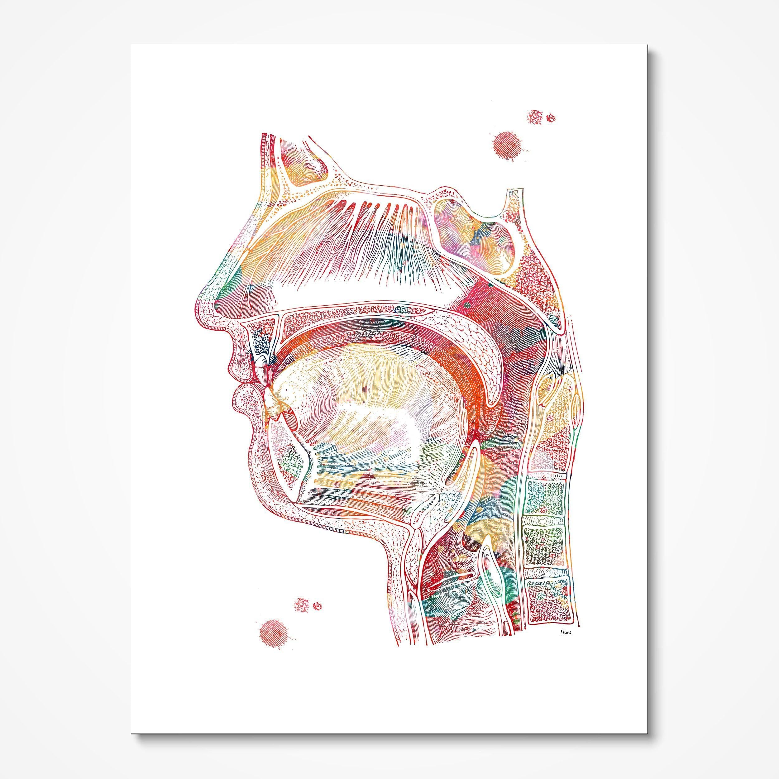 Respiratory System Anatomy Art Watercolor Print Medical Art Speech Art Therapy Clinic Wall Decor