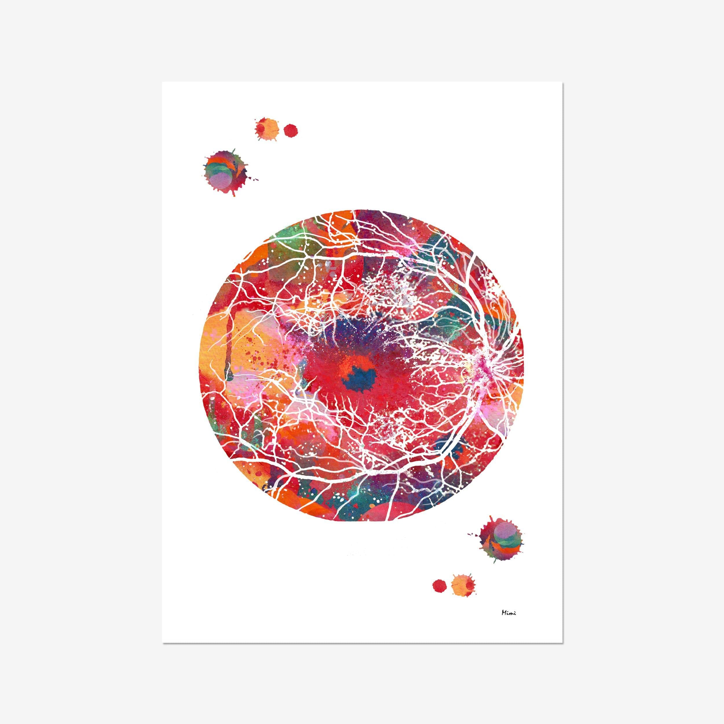 Retina Art Print Eye Anatomy Poster Optometry Illustration Optic Disc and Retinal Blood Vessels Clinic Wall Decor