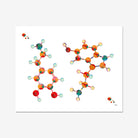Serotonin and Dopamine Science Print Serotonin&Dopamine Neurotransmitters Chemical Formula Poster