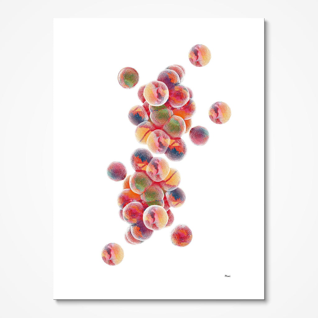Staphylococcus Aureus Science art Print Biology Art Illustration