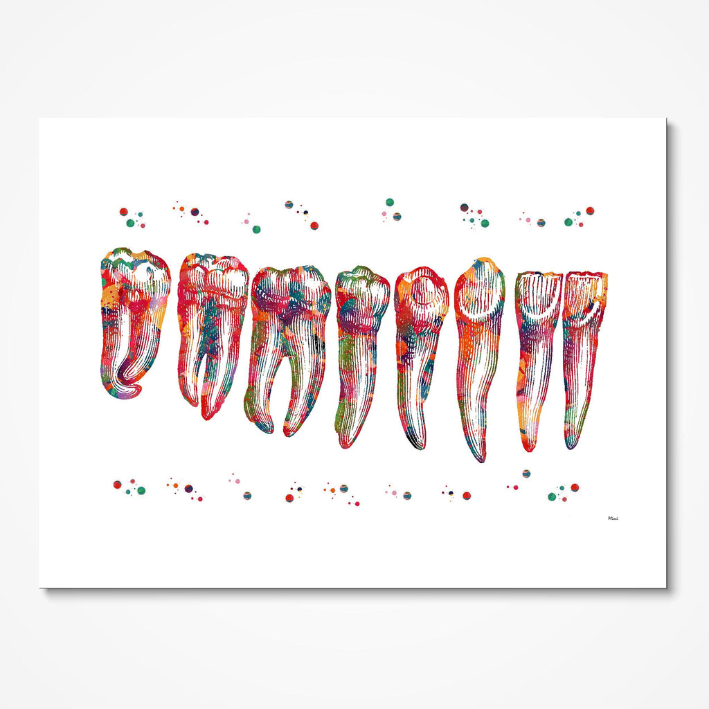 Teeth Row Anatomy Art Watercolor Print Dental Art