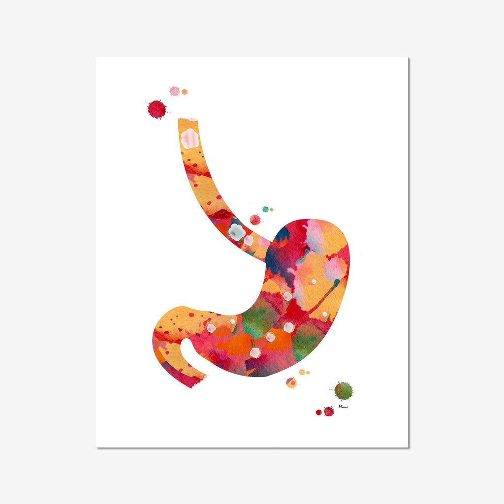The Human Stomach Anatomy Print Medical Art Poster Stomach And Esophagus Illustration