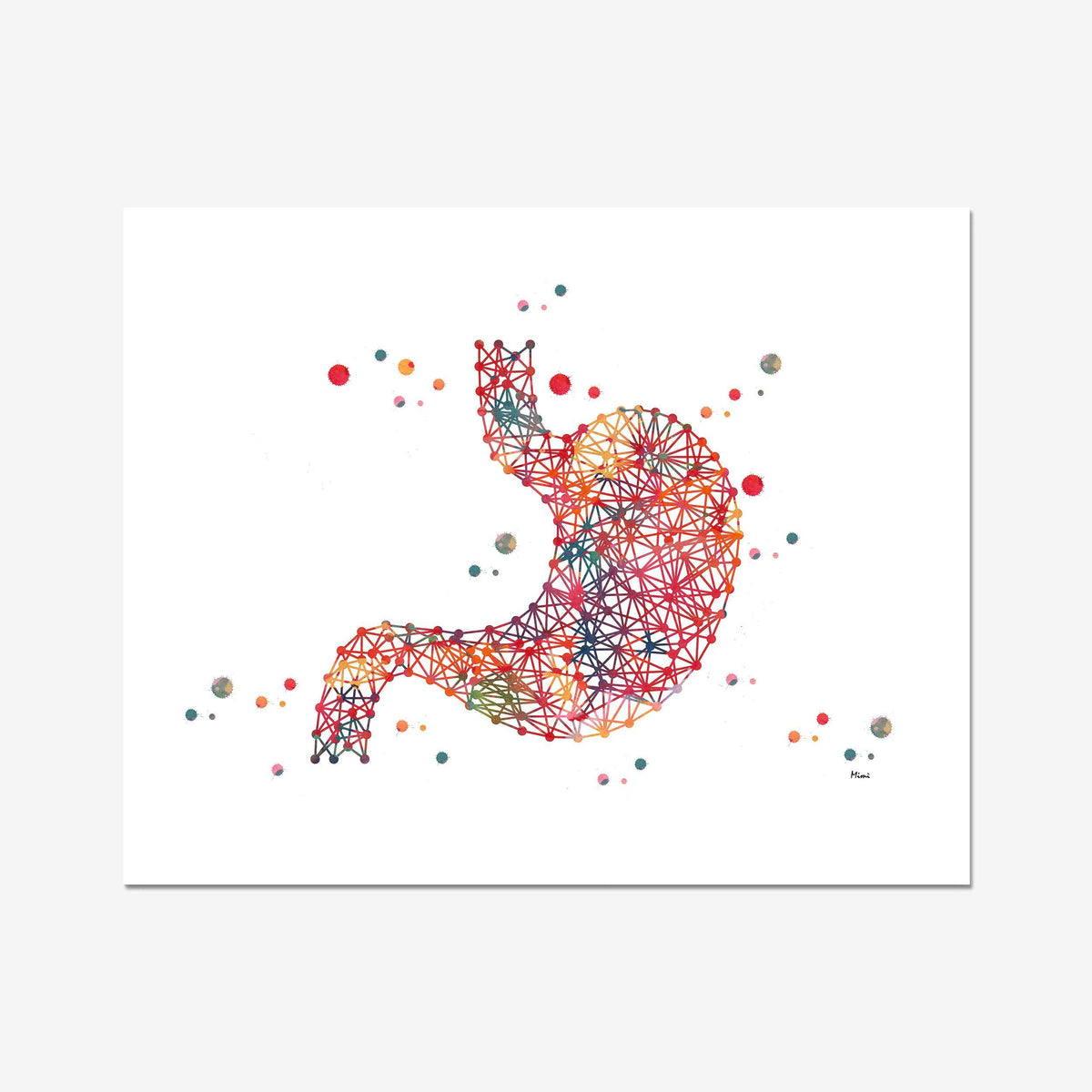 The Stomach Anatomy Art Poster for doctors office wall decor