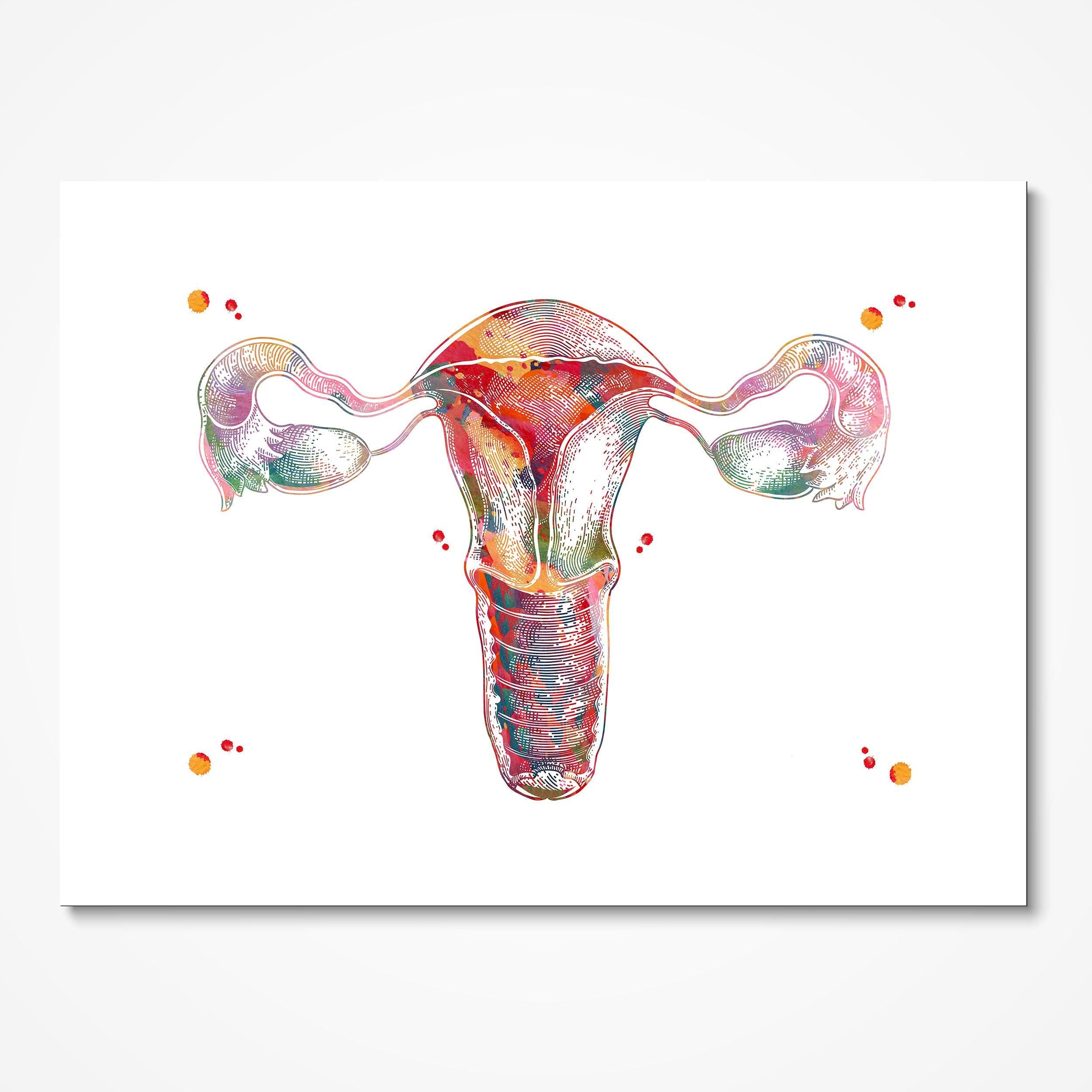 Uterus Anatomy Art Watercolor Print Ob-Gyn Clinic Wall Decor