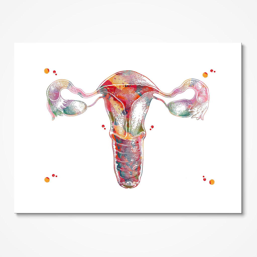 Uterus Anatomy Art Watercolor Print Ob-Gyn Clinic Wall Decor