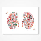 Abstract Kidneys watercolor art print for nephrology clinic wall decor