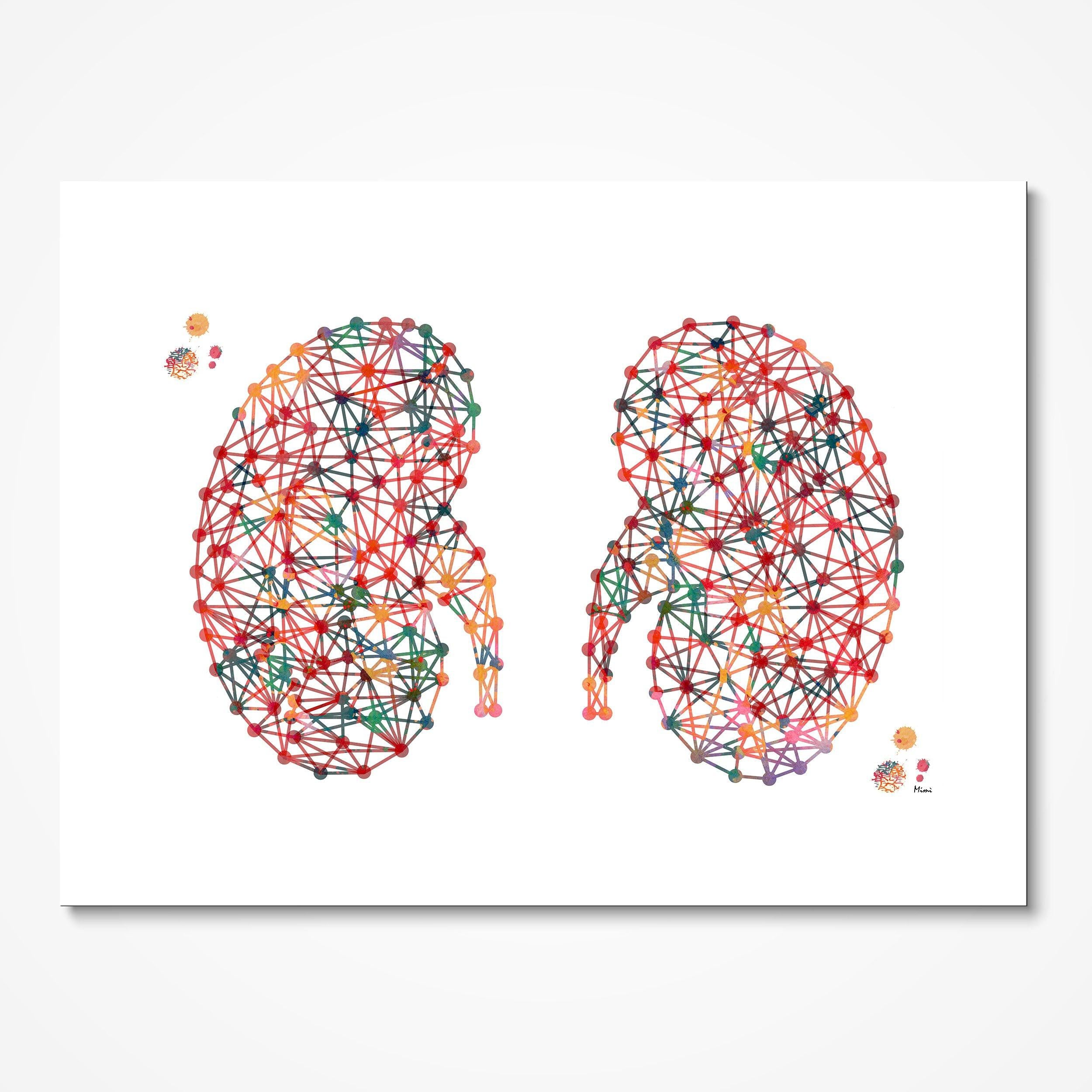 Abstract Kidneys watercolor art print for nephrology clinic wall decor