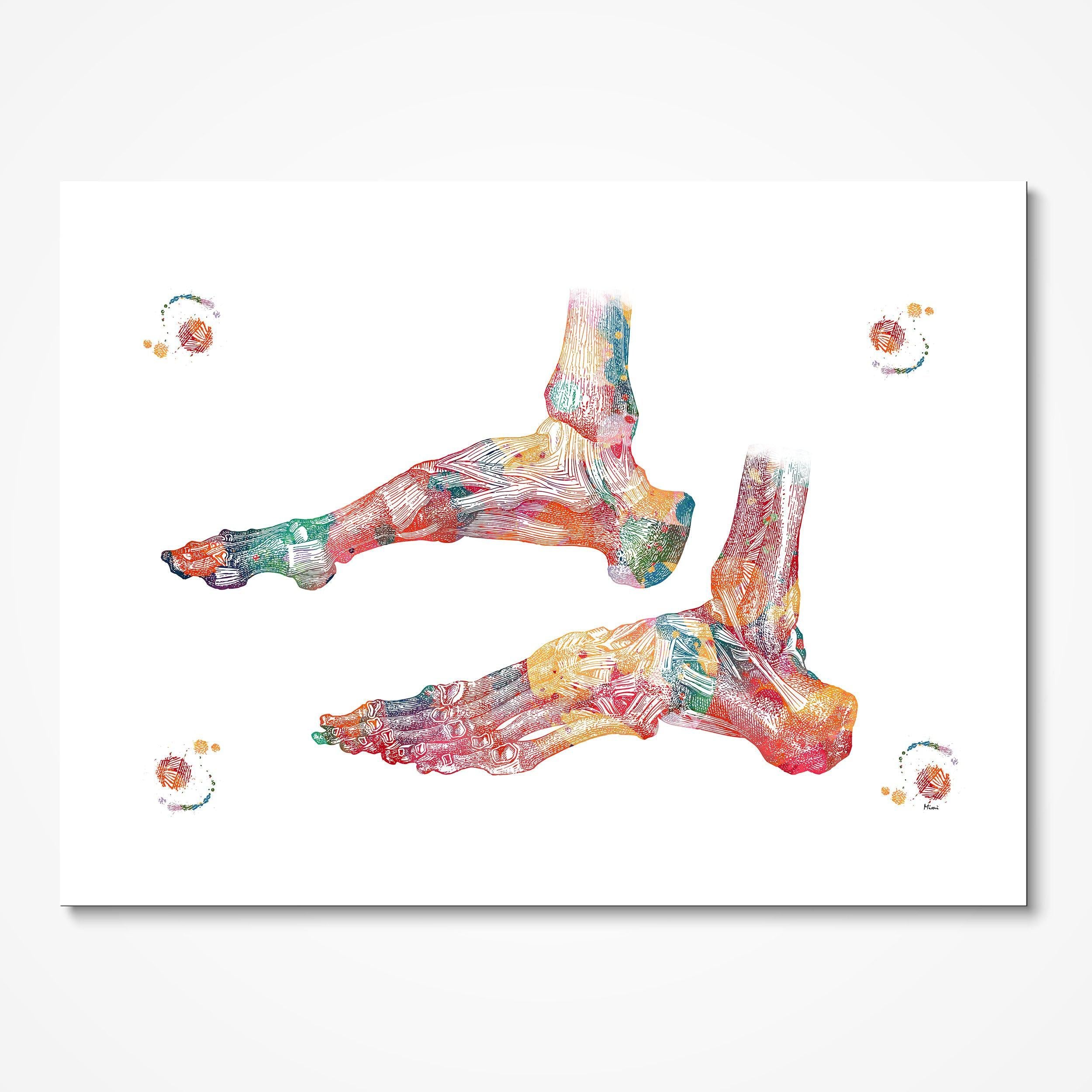 Ankle Bones Anatomy watercolor art print for orthopedic clinic wall decor