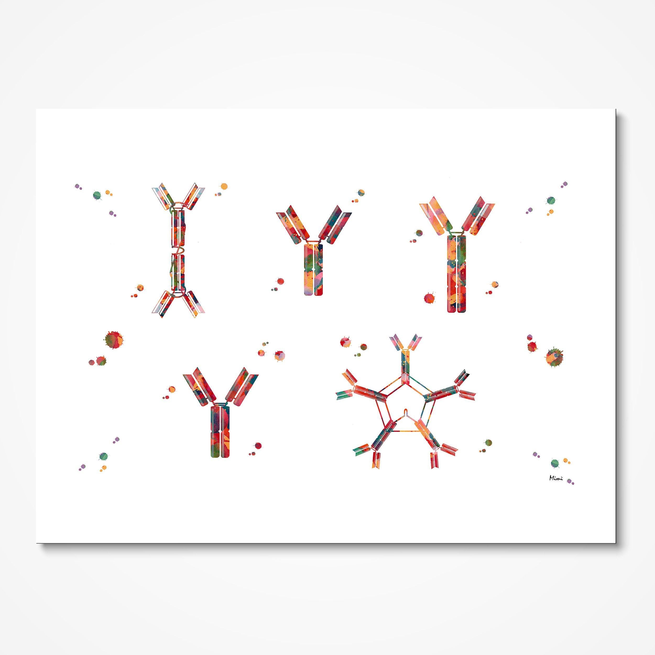 Antigen-Antibody Reaction watercolor art print for immunology lab wall decor