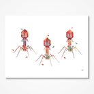 Bacteriophage Bacterial Virus watercolor art print for science lab wall decor