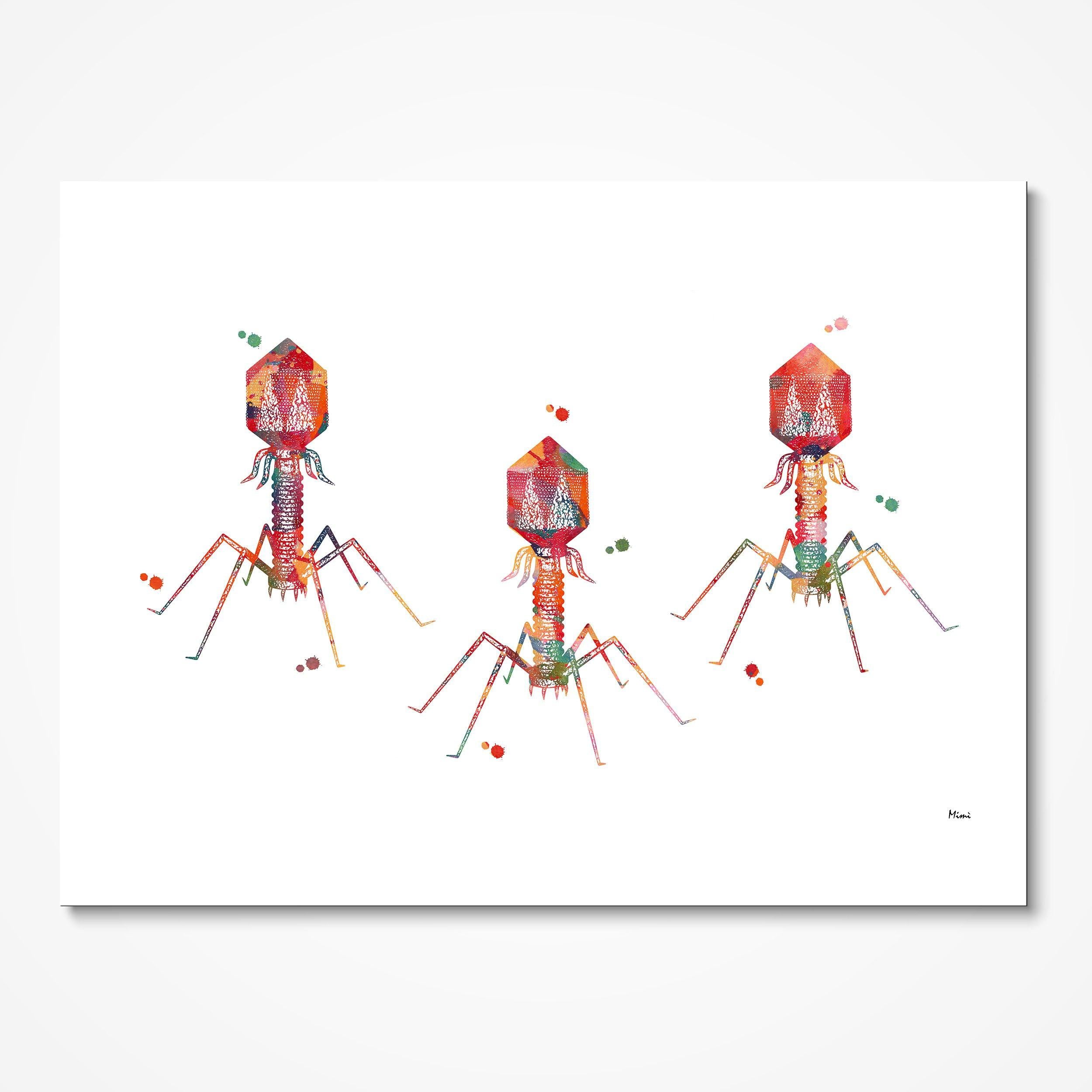 Bacteriophage Bacterial Virus watercolor art print for science lab wall decor