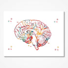 Brain Sagittal Section Anatomy watercolor art print for neurology clinic wall decor