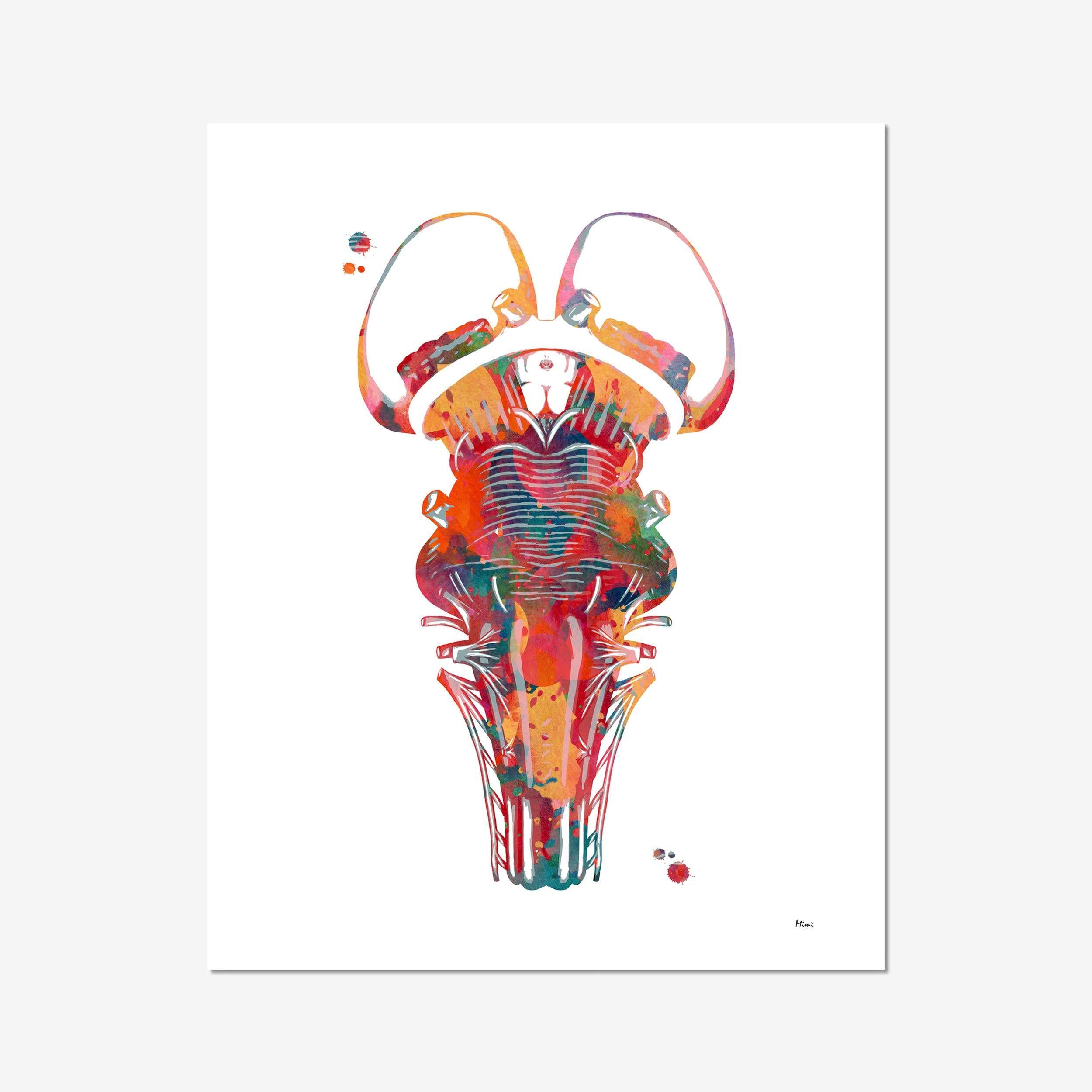 Brain Stem & Thalamus Anatomy watercolor art print for neurology clinic wall decor