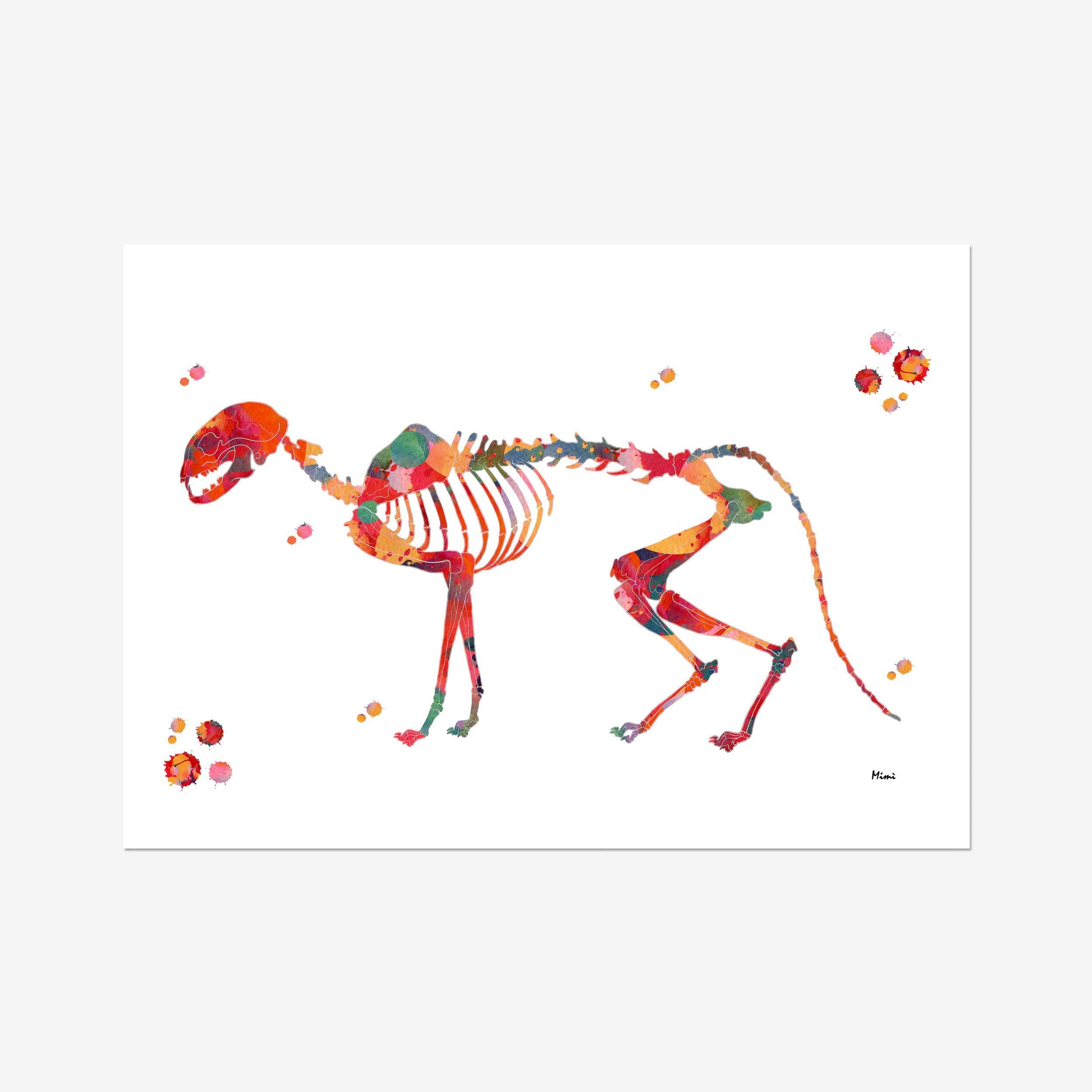 Cat Skeleton watercolor art print for veterinary clinic wall decor