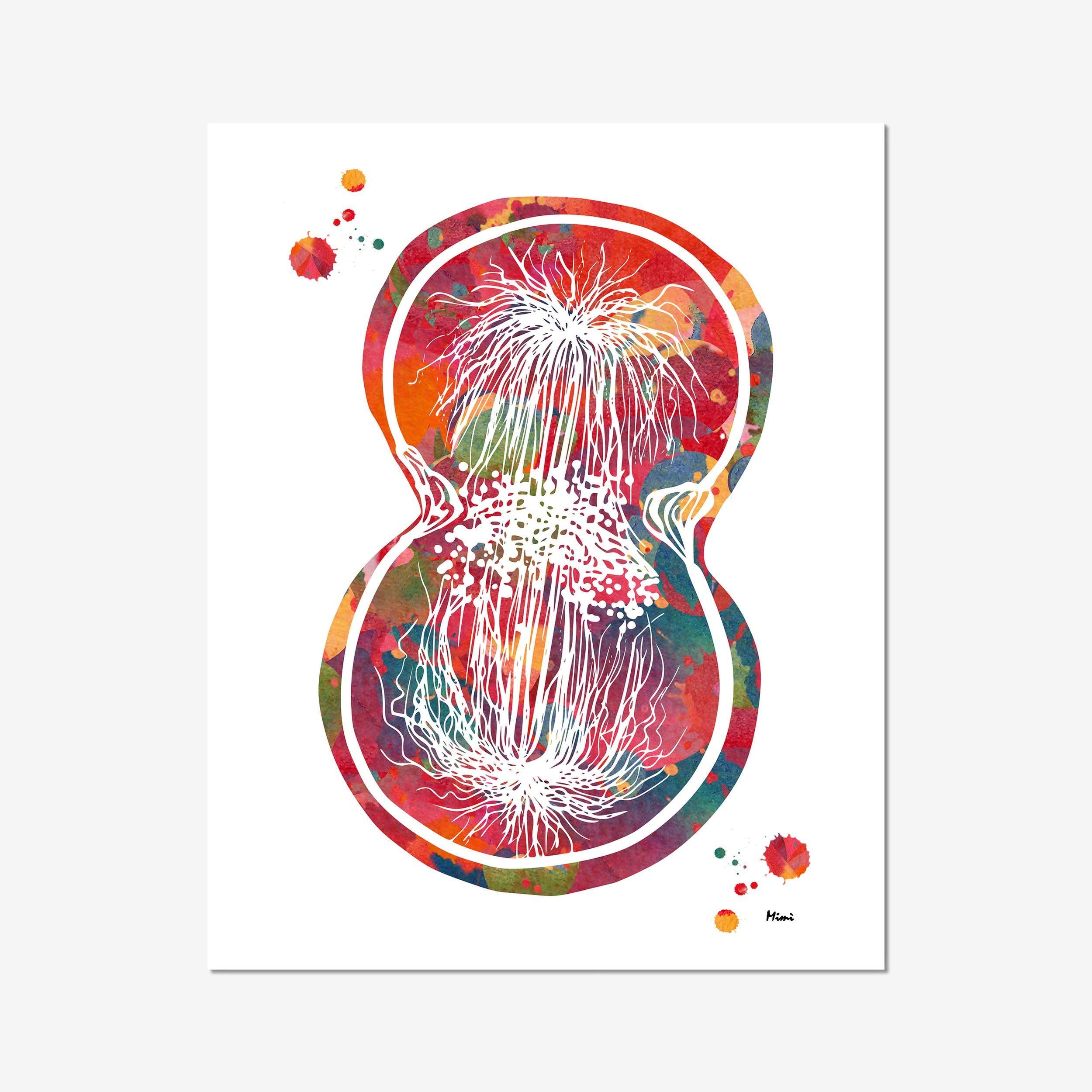 Cell Division watercolor art print for cell biology lab wall decor