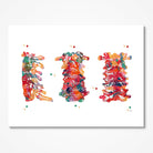 Cervical Spine Anatomy watercolor art print for orthopedic clinic wall decor