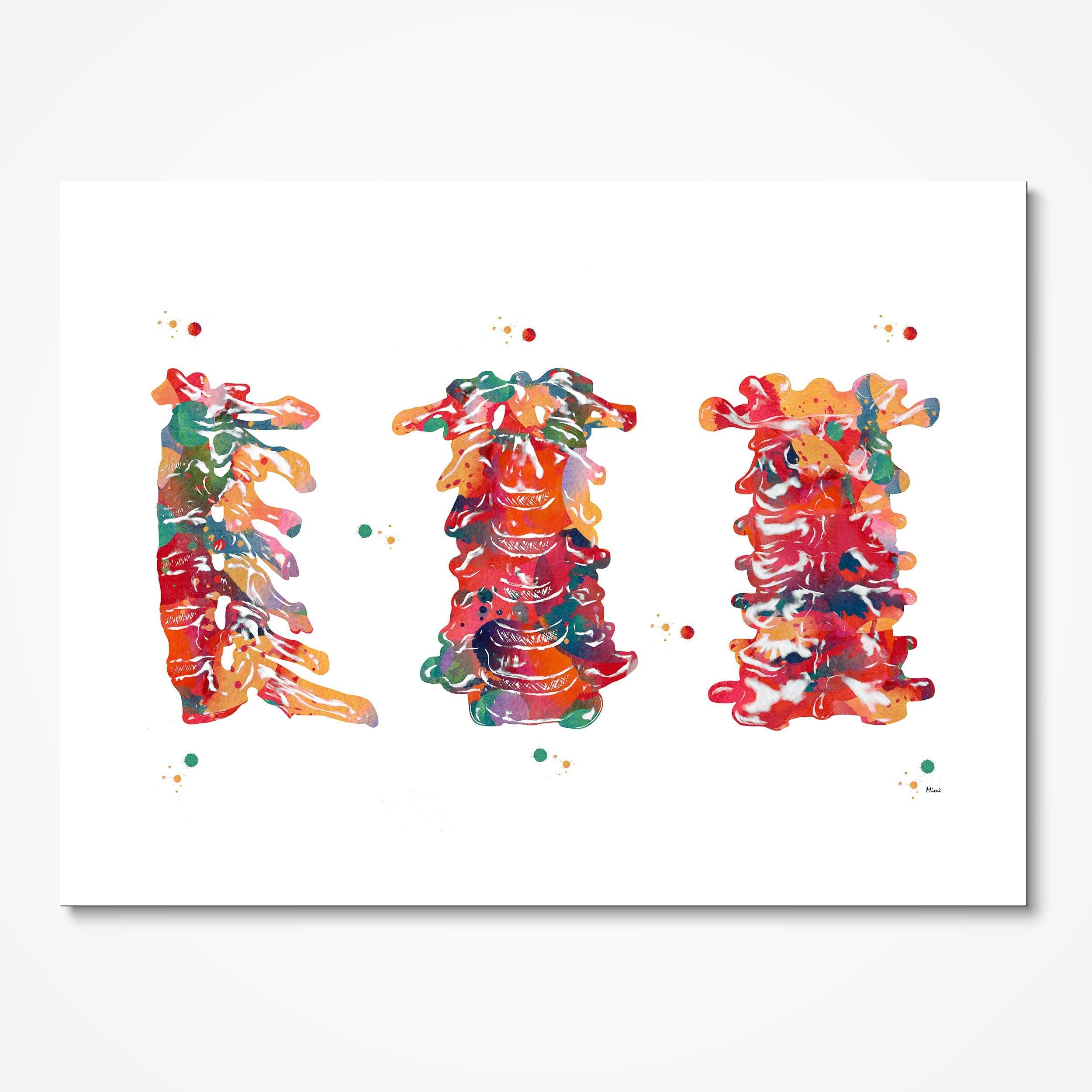 Cervical Spine Anatomy watercolor art print for orthopedic clinic wall decor