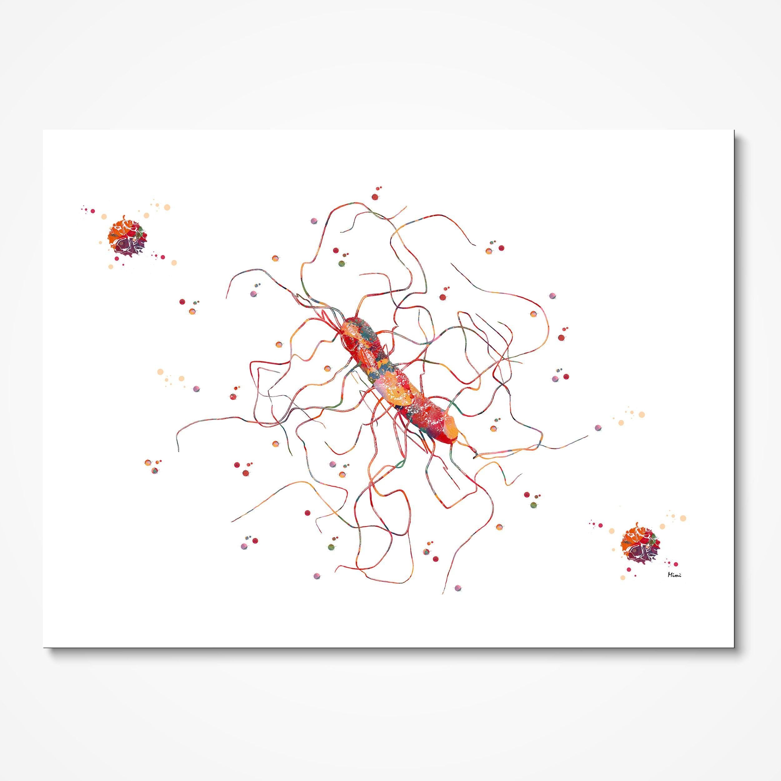 Clostridium Difficile Bacteria watercolor art print for microbiology lab wall decor