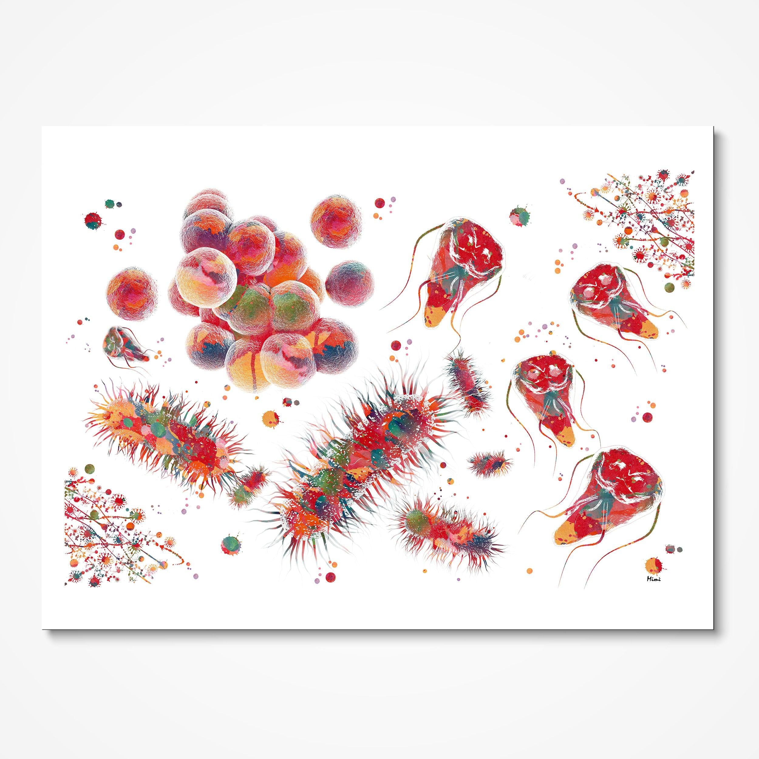 Cytology Bacteria, Fungi & Parasites watercolor art print for microbiology lab wall decor