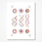 DNA A, B & Z Forms Genetics watercolor art print for genetics lab wall decor