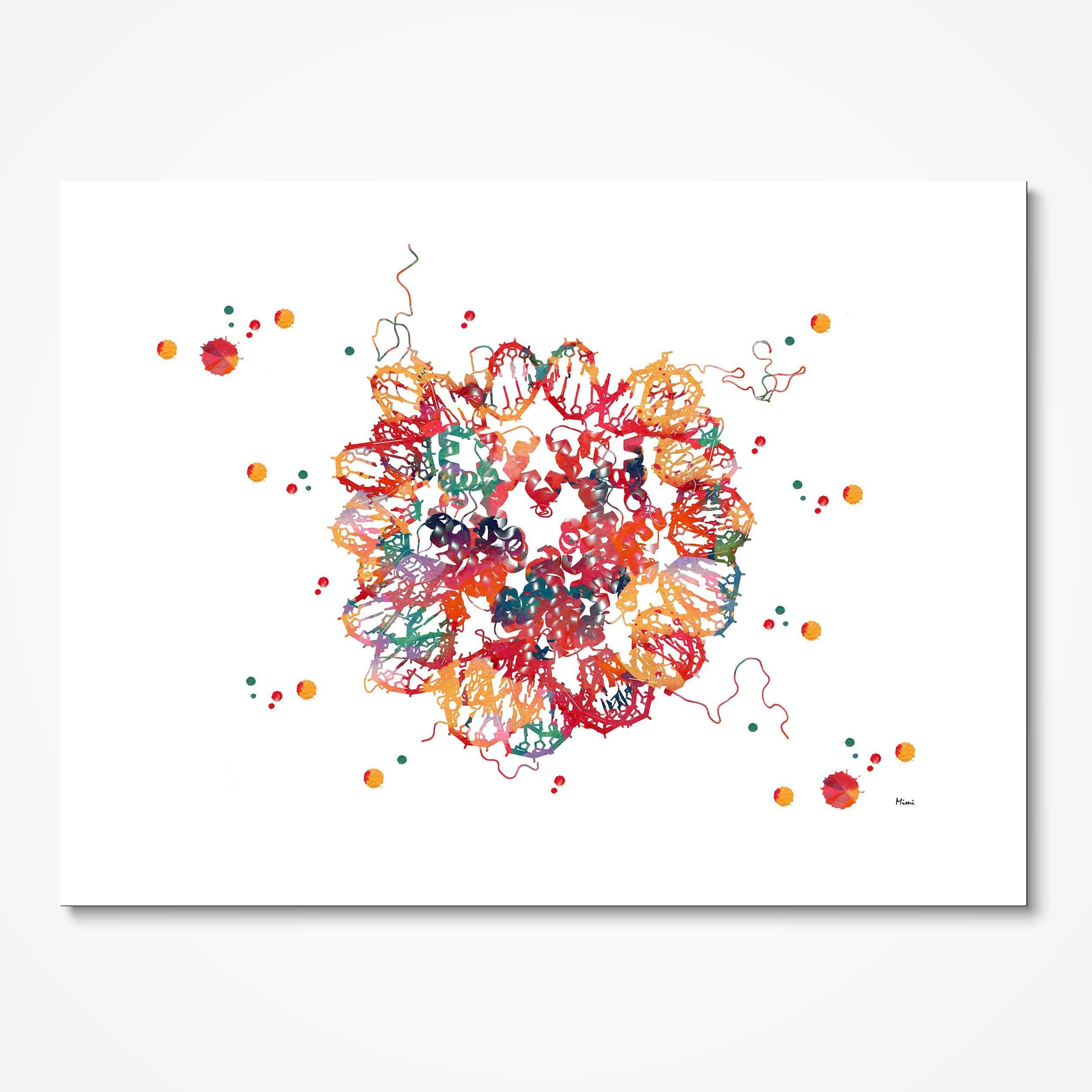 DNA Nucleosome Crystal Structure watercolor art print for genetics lab wall decor