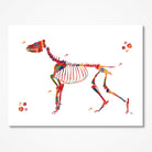 Dog Skeleton watercolor art print for veterinary clinic wall decor