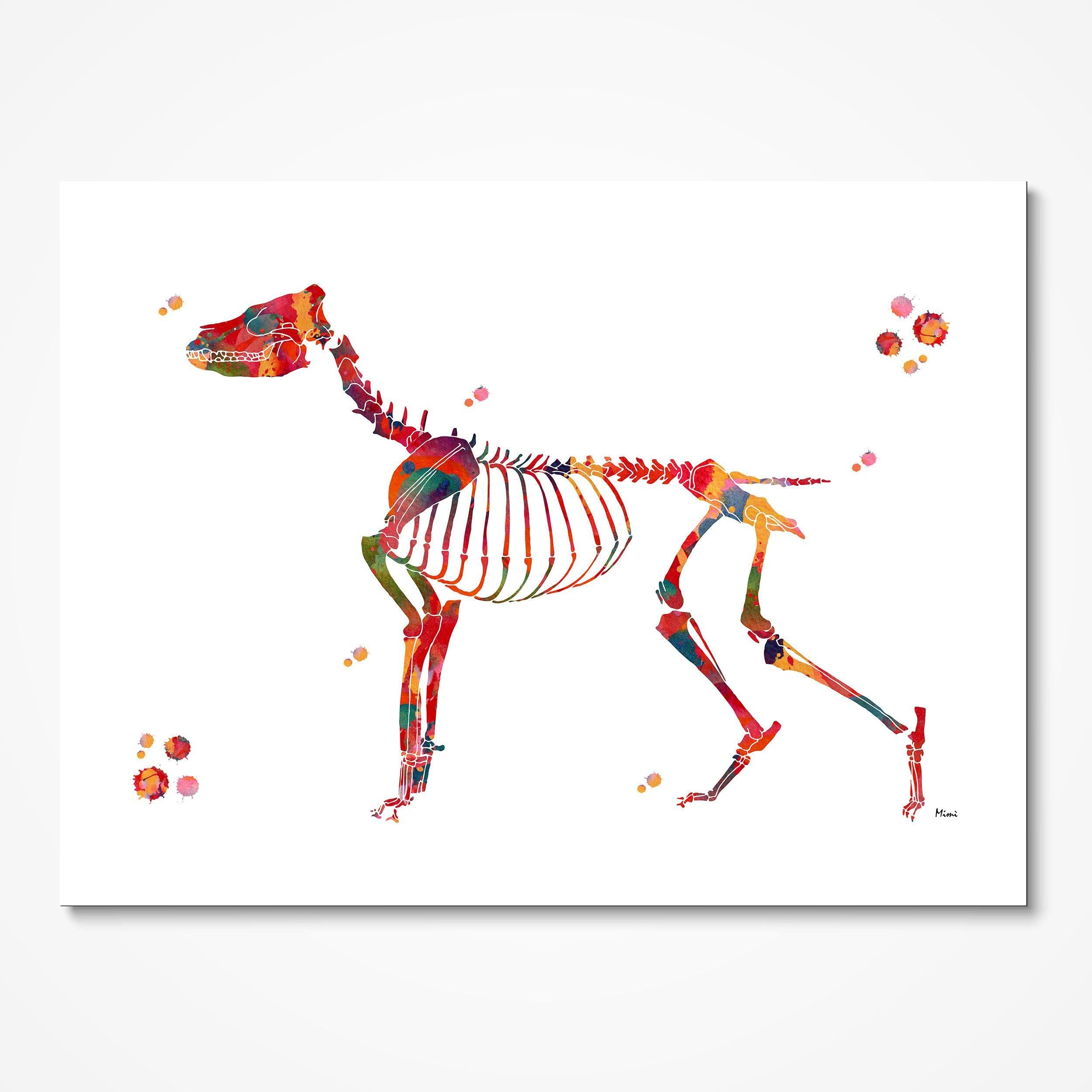 Dog Skeleton watercolor art print for veterinary clinic wall decor