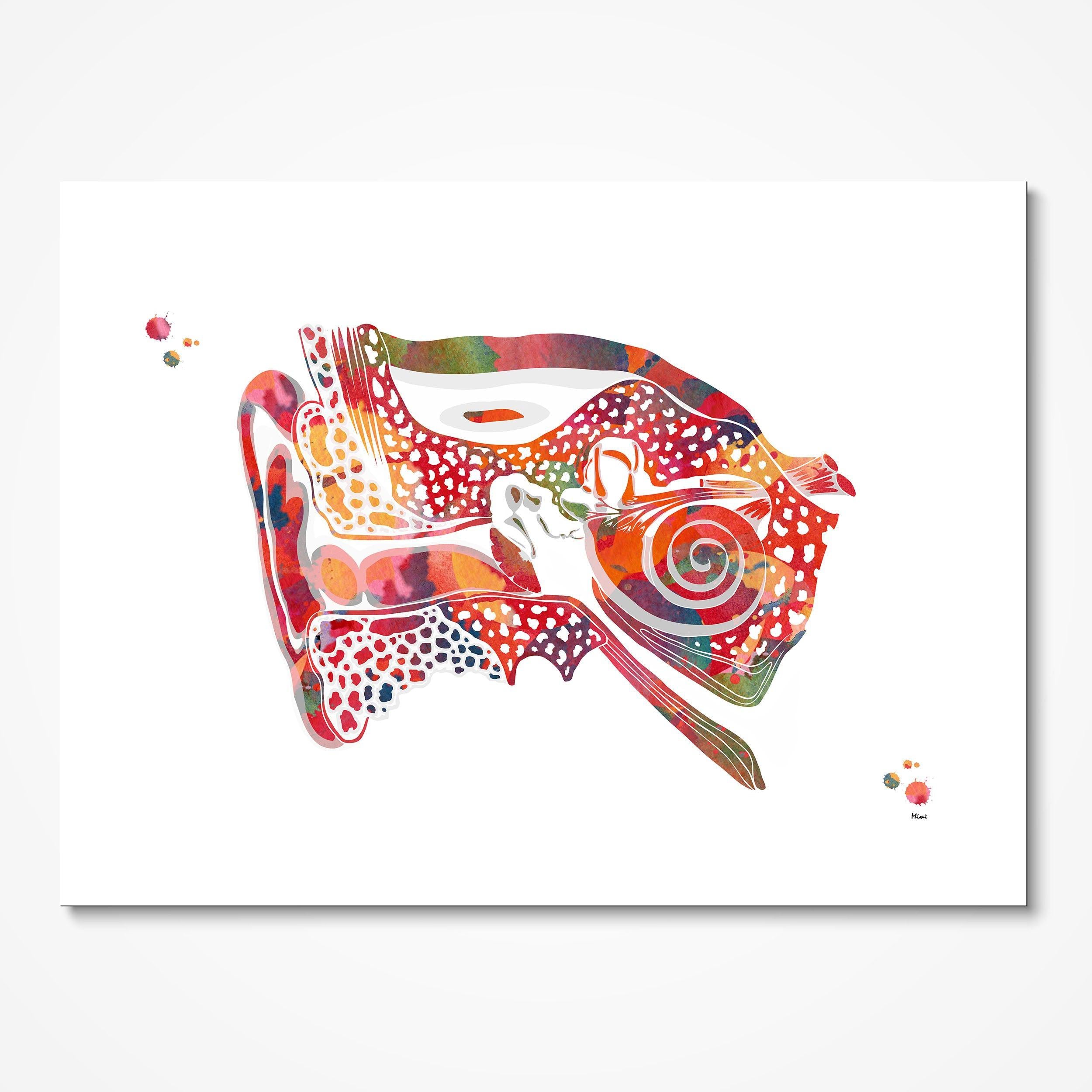 Ear Cross-Section watercolor art print for audiology clinic wall decor