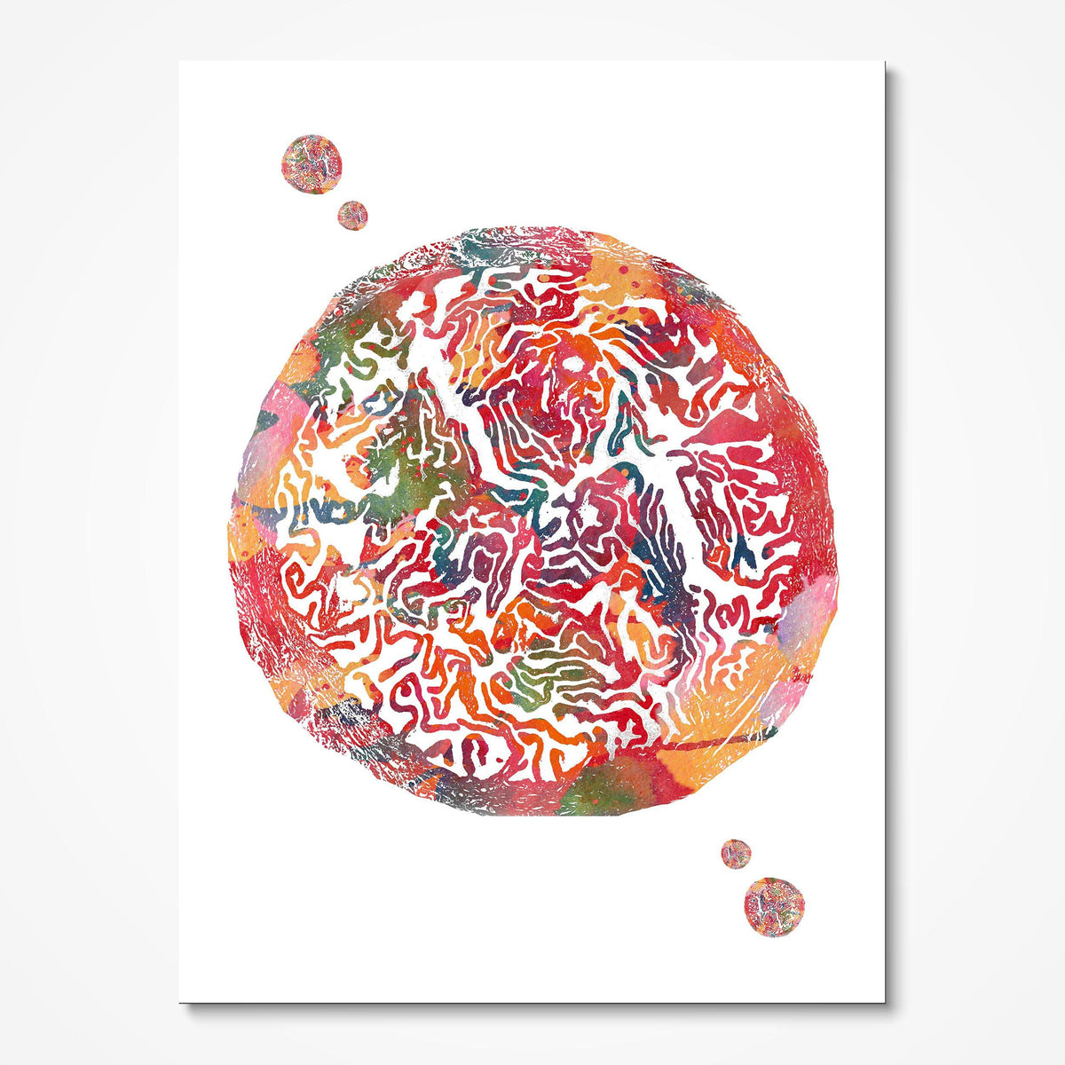 Fallopian Tube Anatomy watercolor art print for OB-GYN clinic wall decor