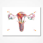 Female Reproductive System Anatomy watercolor art print for OB-GYN clinic wall decor