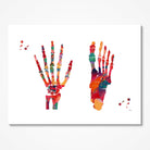 Foot & Hand Bones watercolor art print for orthopedic clinic wall decor