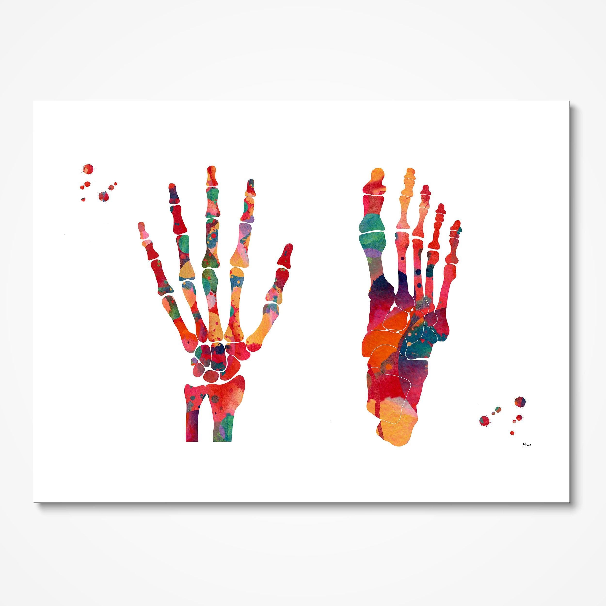 Foot & Hand Bones watercolor art print for orthopedic clinic wall decor