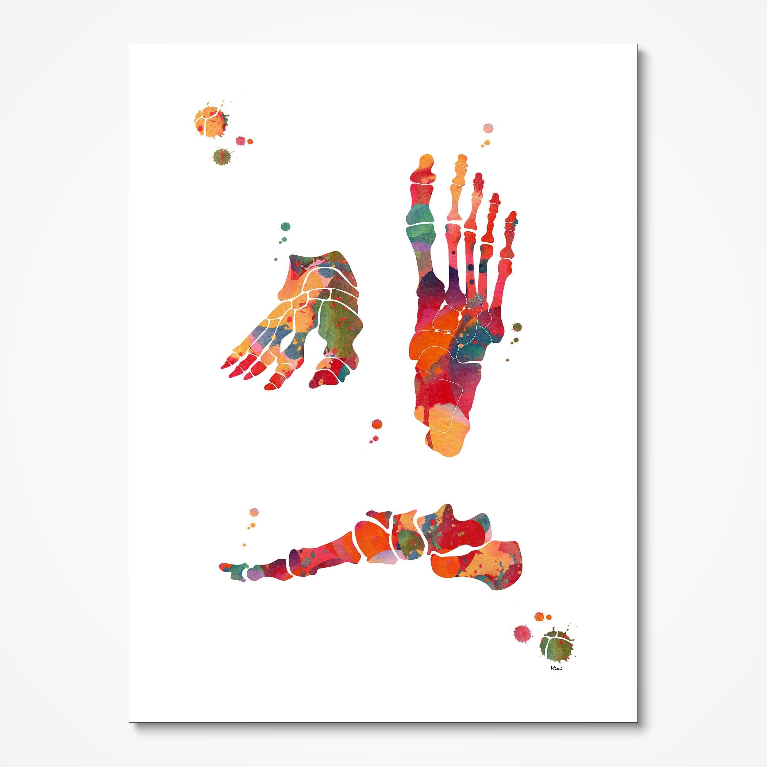 Foot Bones Anatomy watercolor art print for podiatry clinic wall decor