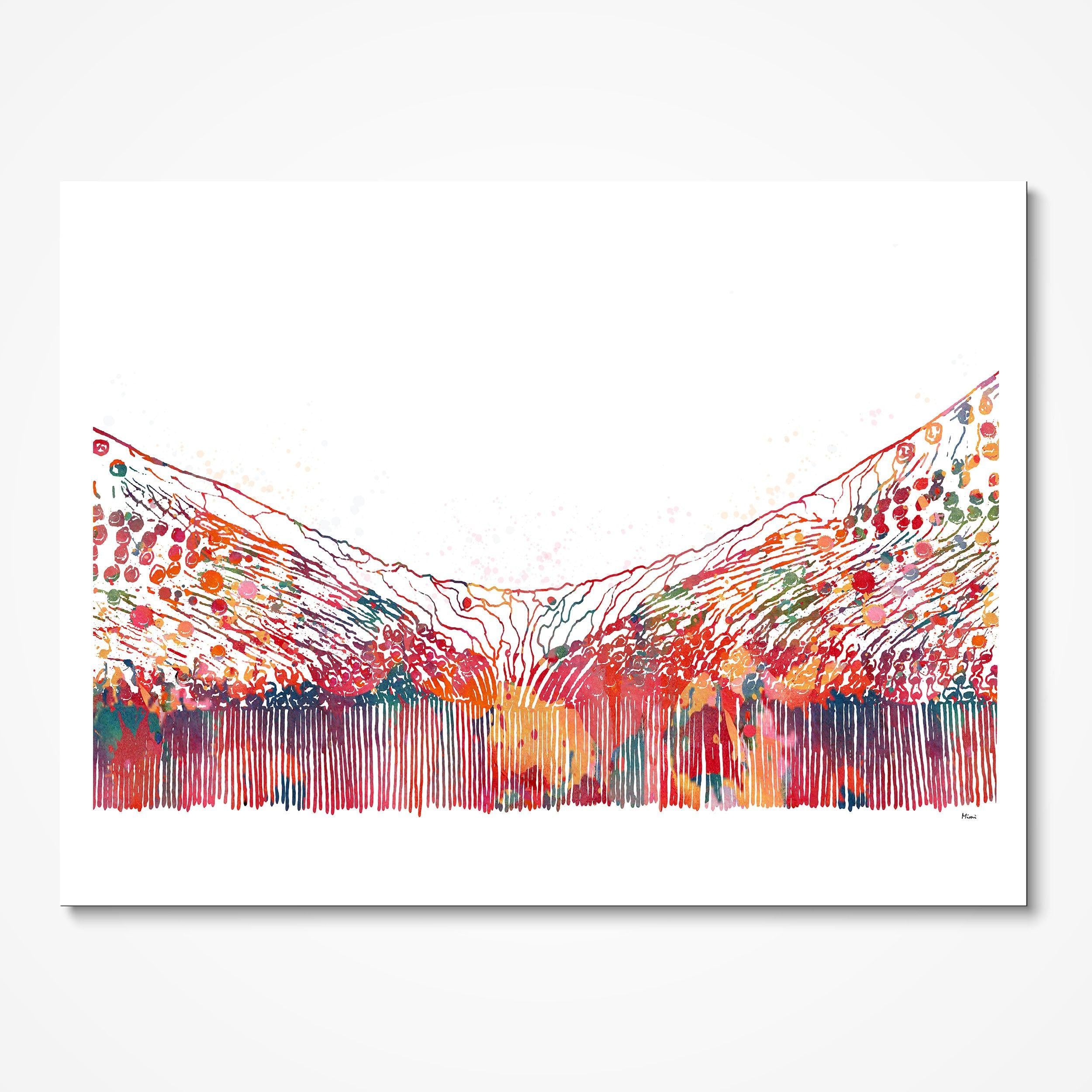 Fovea of the Eye watercolor art print for ophthalmology clinic wall decor