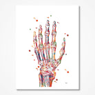 Hand & Radiocarpal Joint watercolor art print for orthopedic clinic wall decor