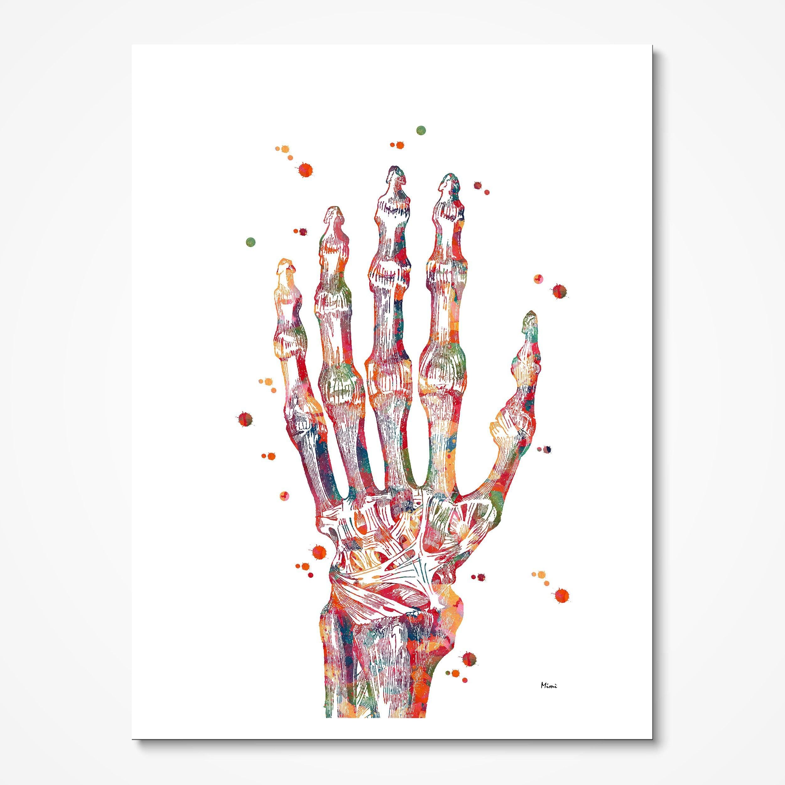 Hand & Radiocarpal Joint watercolor art print for orthopedic clinic wall decor