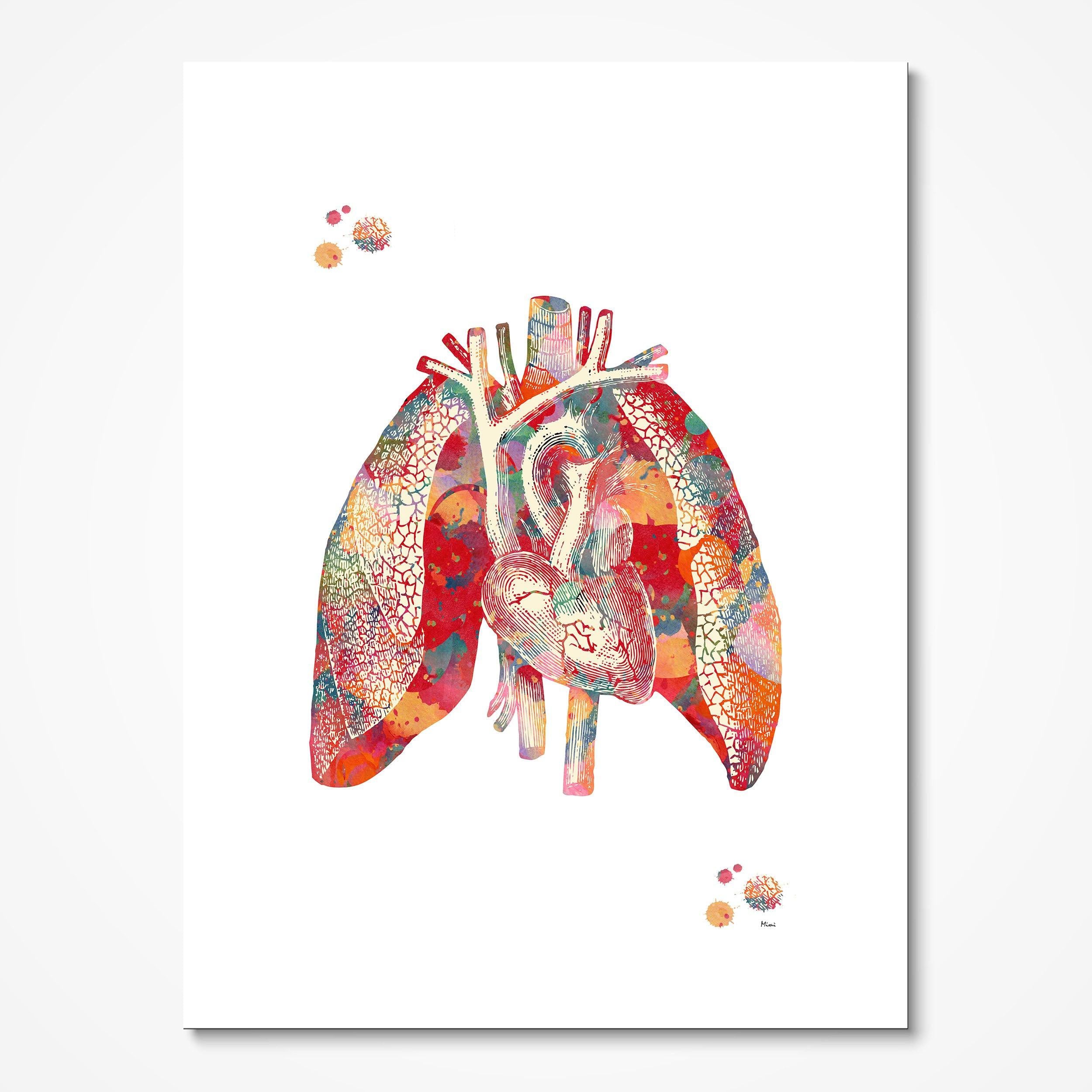 Heart and lungs cardiovascular and respiratory watercolor art print for clinic decor