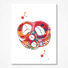 Heart valves watercolor art print, aortic mitral tricuspid pulmonary, for cardiology decor