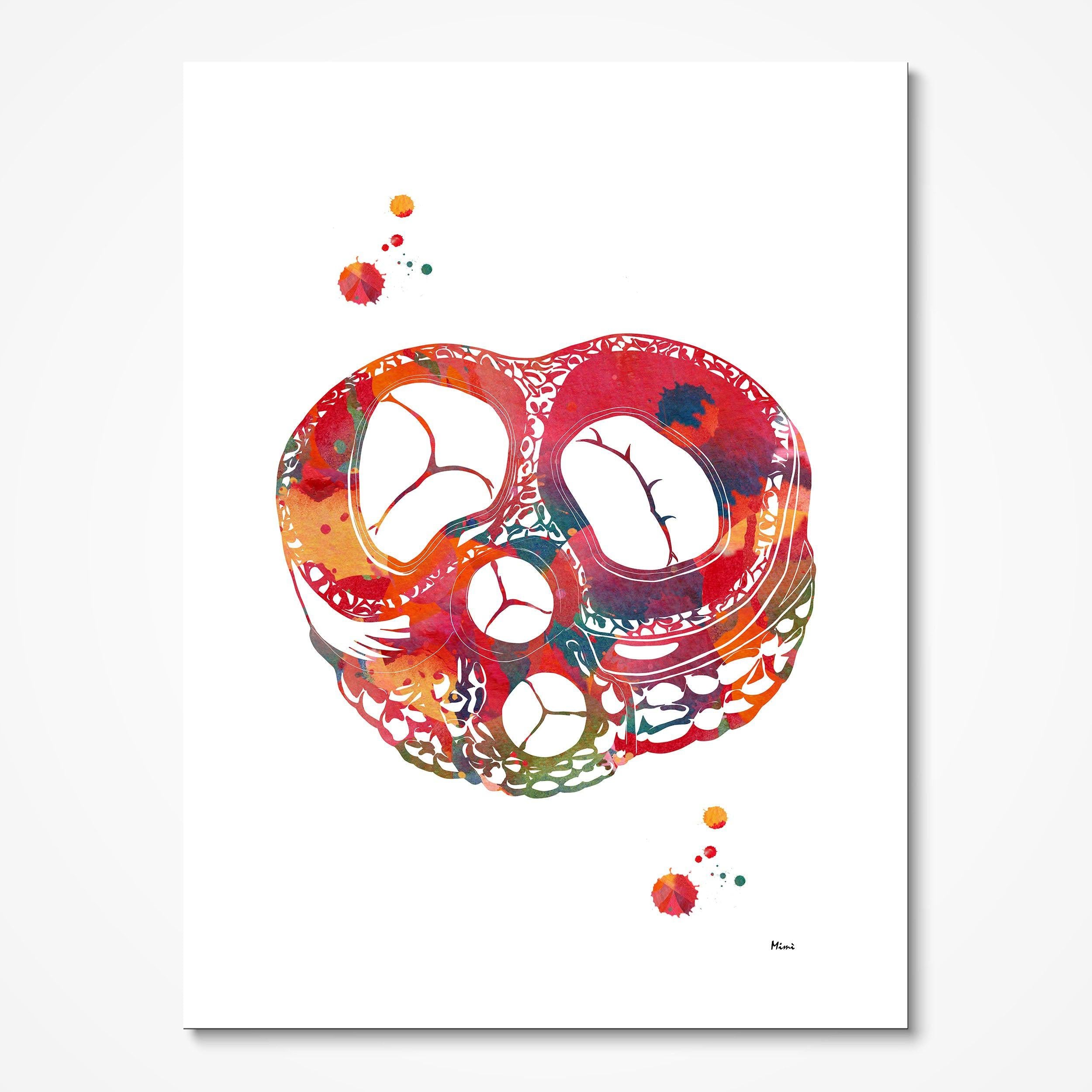 Heart valves watercolor art print, aortic mitral tricuspid pulmonary, for cardiology decor