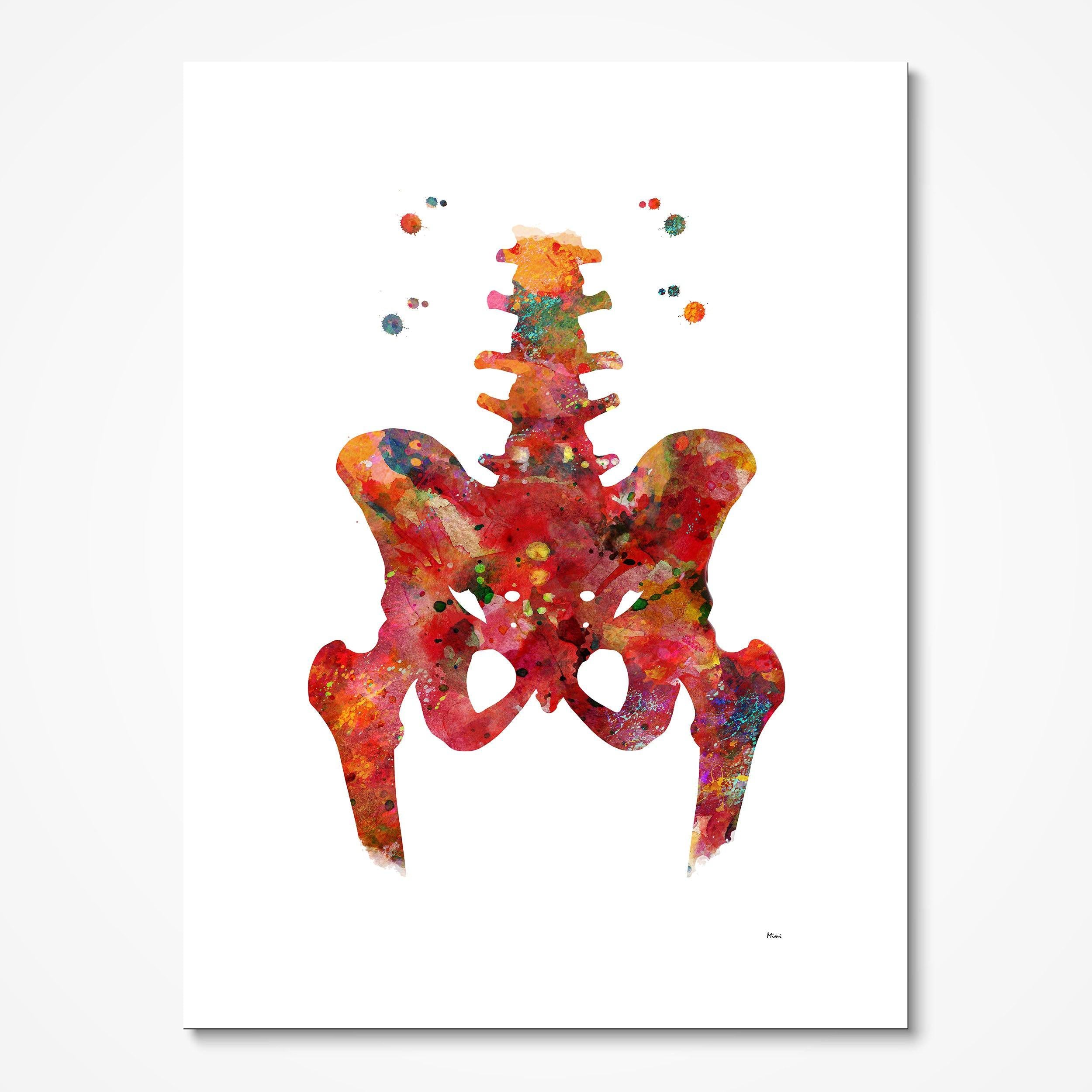 Hip & Lower Spine watercolor art print for orthopedic clinic wall decor