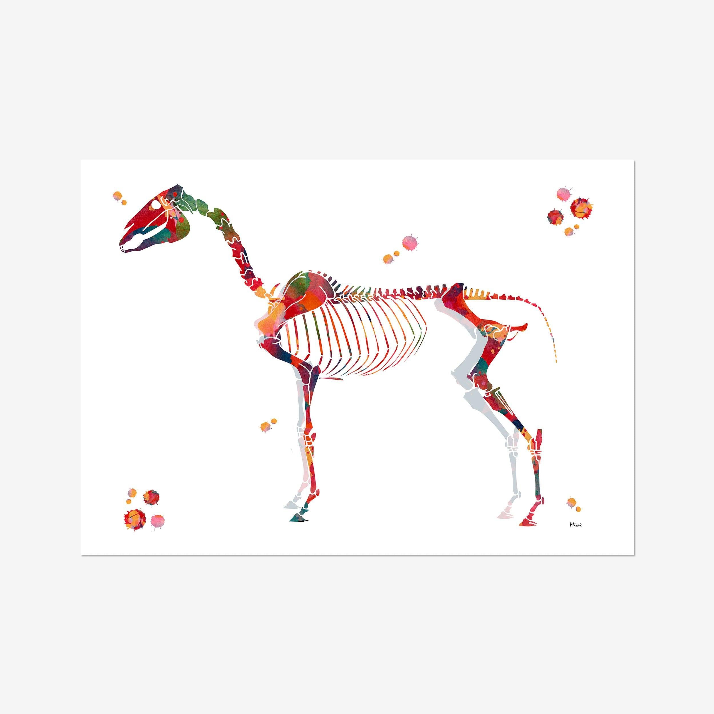 Horse Skeleton watercolor art print for veterinary clinic wall decor